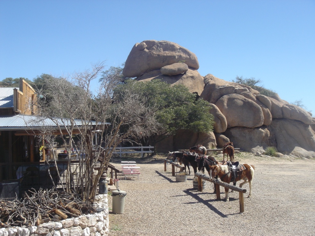 horse-saloon