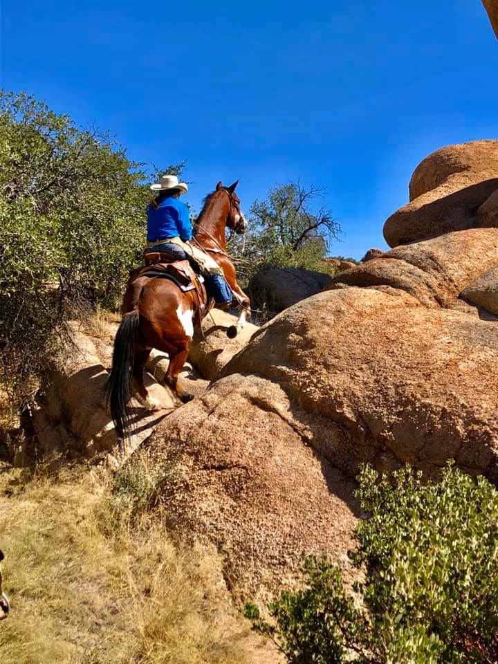trail1