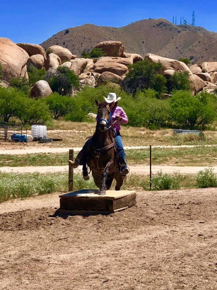trail2
